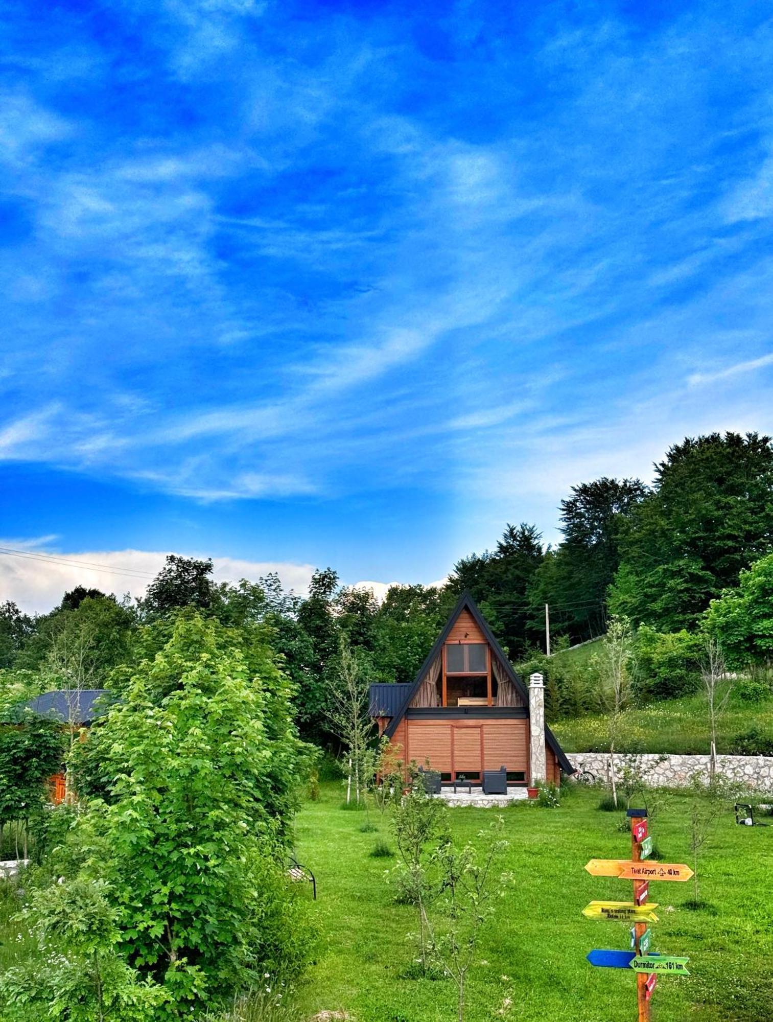 Albero Casa Villa Cetinje Luaran gambar