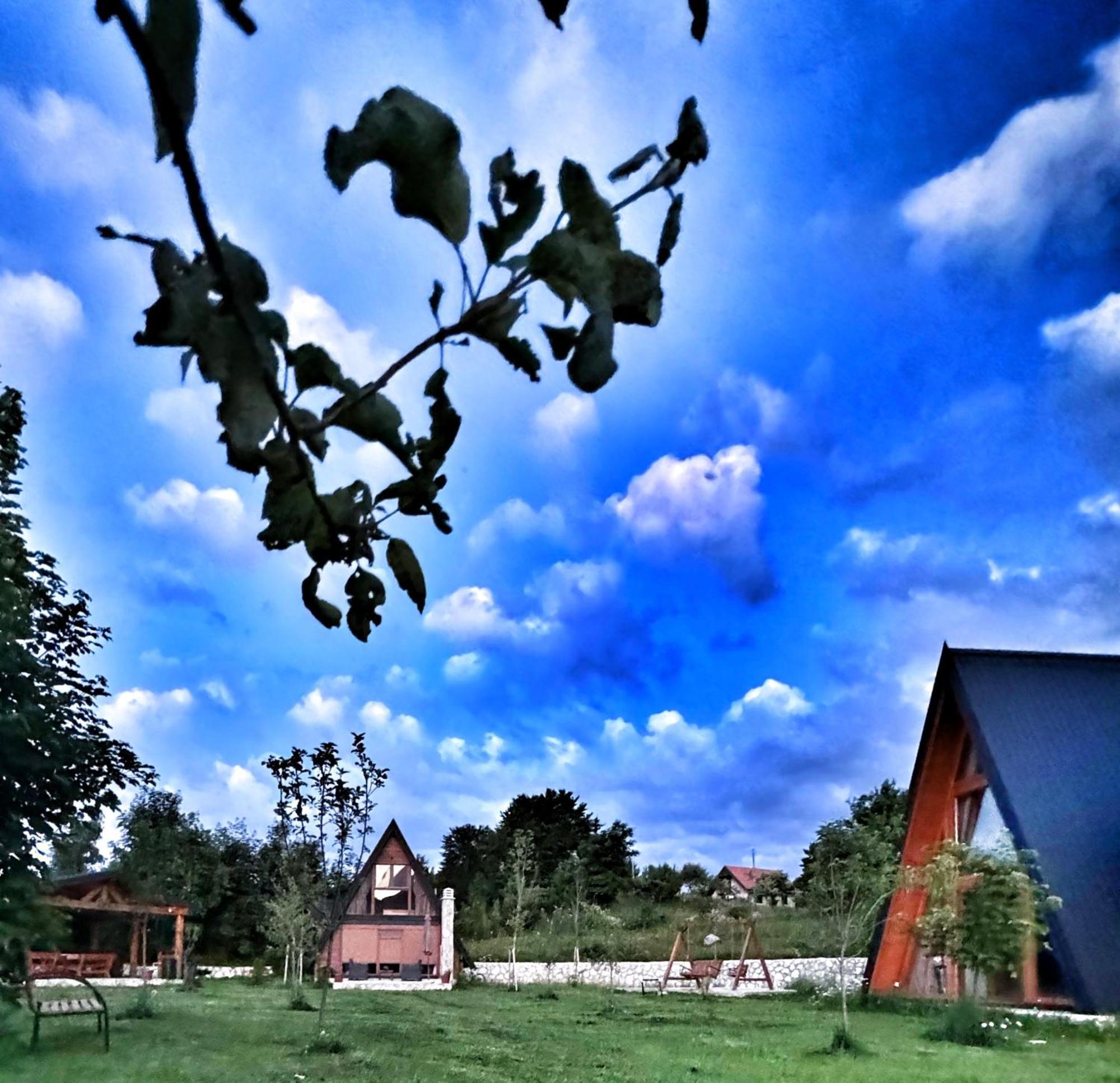 Albero Casa Villa Cetinje Luaran gambar