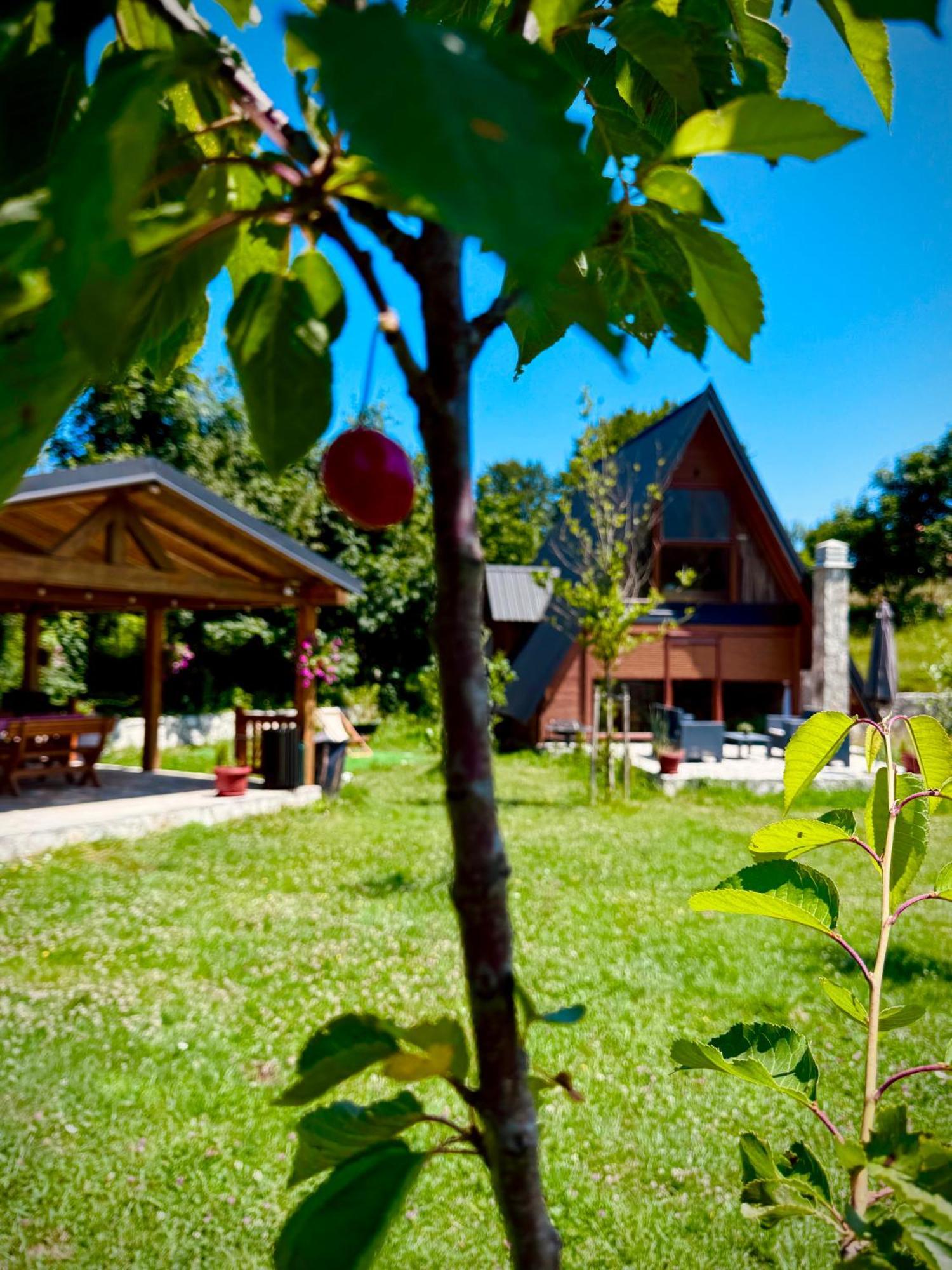 Albero Casa Villa Cetinje Luaran gambar