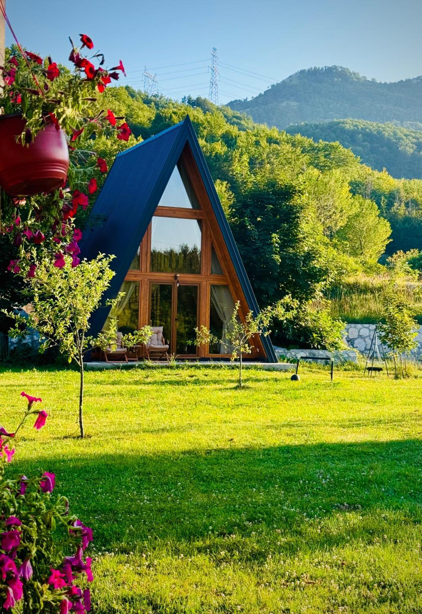 Albero Casa Villa Cetinje Luaran gambar